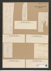 Eunotia diodon Ehr. (de-Toni-Nr.: Genus 104, Species 3172) Zeichnungen Sammlung Grunow Nr. 6520 (NHMW-BOT-W0375236)